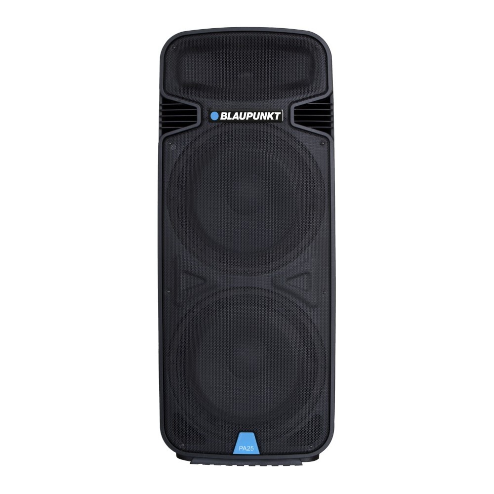BLAUPUNKT AUDIO SYSTEM