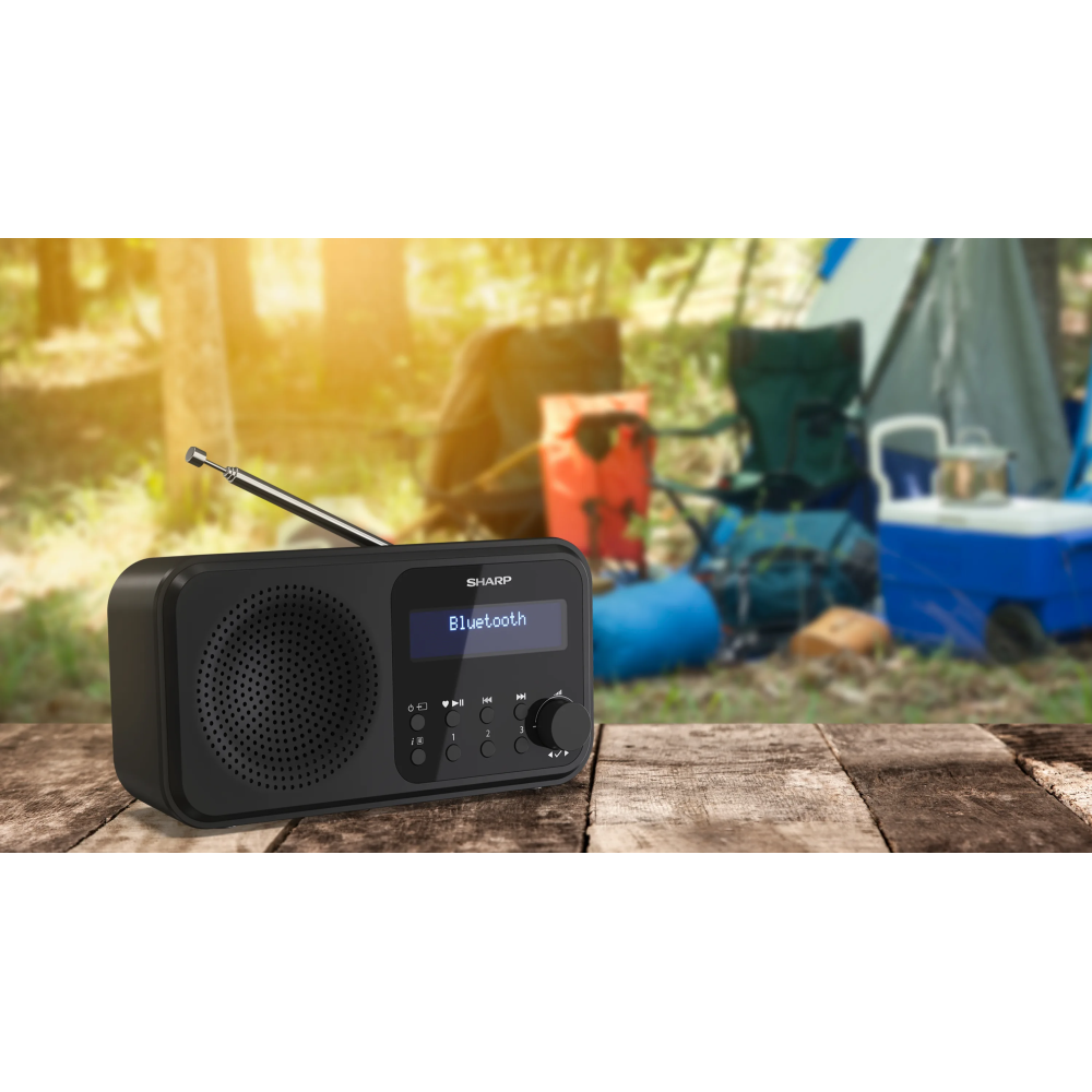 SHARP DIGITAL RADIO BLACK DR-P420