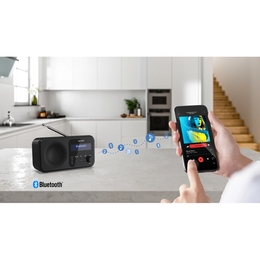 SHARP DIGITAL RADIO BLACK DR-P420