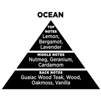 Αρωματικό Χώρου Με Sticks