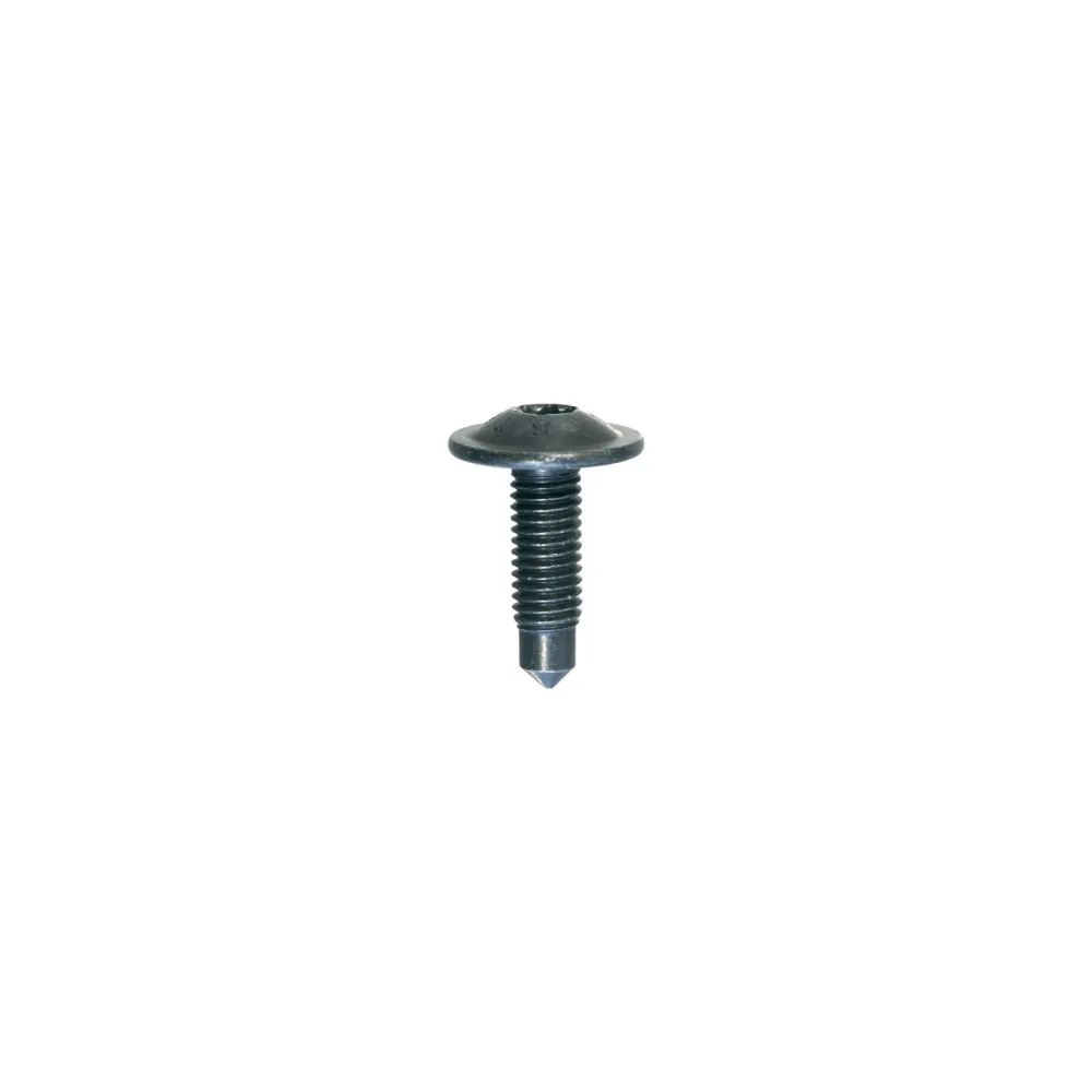 EXTRA LARGE DOME HEAD SCREW M8-1.25 X 26,5 mm DOOR HINGE