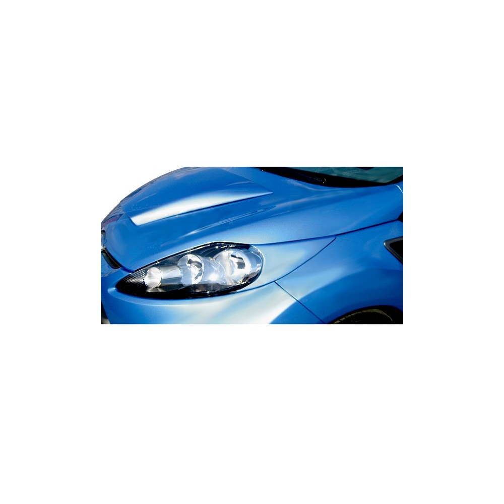 Φρυδάκια Φαναριών FORD FIESTA 9/08+